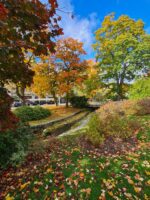 Romantický víkend ve Villa Walir - Obrázek 3