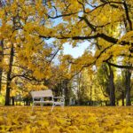 Lázeňská promenáda ke Zpívající fontáně - Obrázek 5